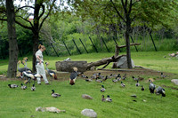 5-14-03  Zoo & Gardens 036